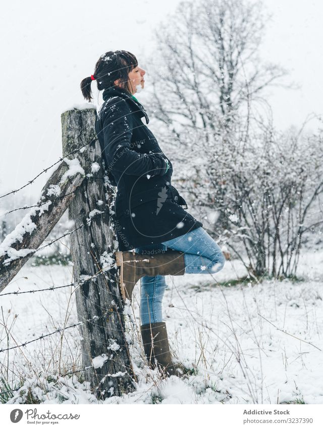 Junge Frau genießt Schneetag auf dem Land Feld Erholung Windstille genießen Winter Wald neblig wolkig trist jung allein Lehnen nachdenklich träumend Baum