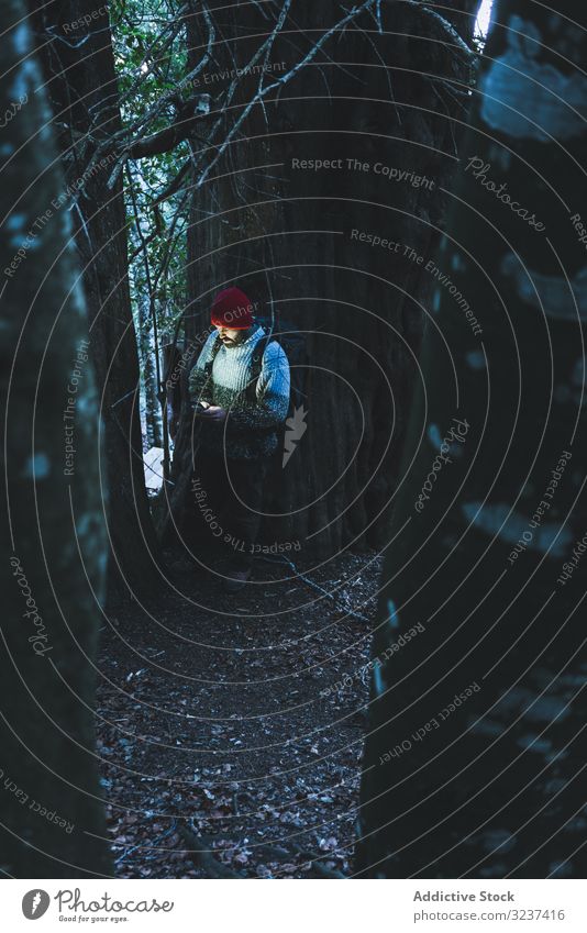 Mann neben grünem Baum mit Mobiltelefon Berge u. Gebirge Berghang Kofferraum Wald erkunden Rucksack reisen Abenteuer Wanderer Tourist Reise Trekking Pflanze