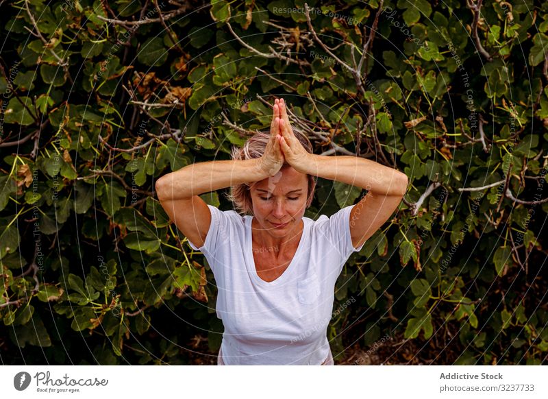 Erwachsene Frau meditiert am Busch Meditation Buchse Übung umklammerte Hände Tai Chi geschlossene Augen Natur Training Erwachsener Gesundheit Atem Strauch grün