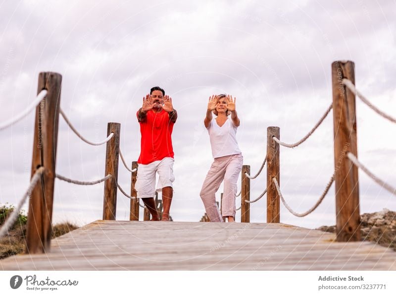 Paar übt Kampfkünste auf Holzweg Weg Übung kämpferisch Tai Chi Natur Himmel wolkig Training Gesundheit Frau Mann Erwachsener passen Yoga zhineng Qi Gong