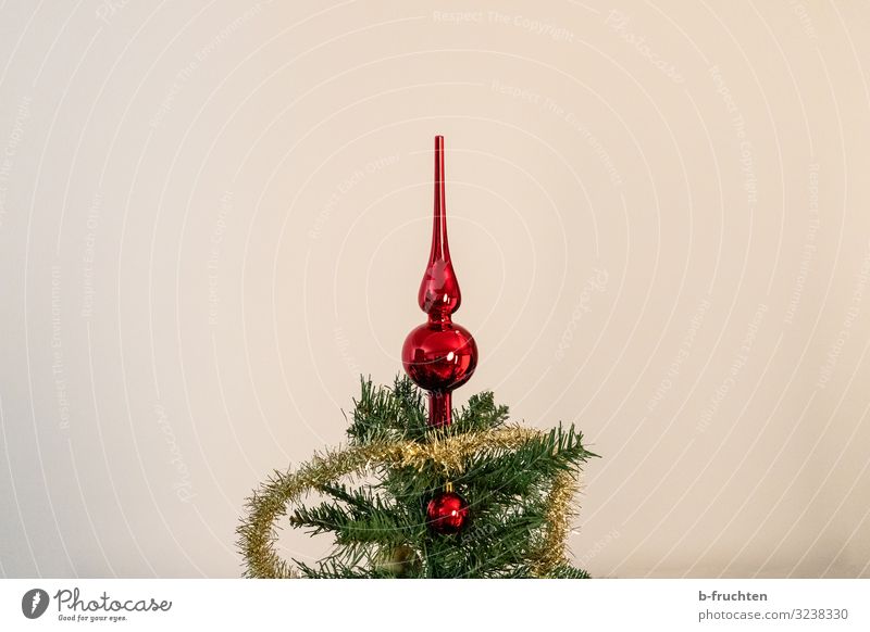 Weihnachtsbaum Party Feste & Feiern Weihnachten & Advent Dekoration & Verzierung Kitsch Krimskrams Zeichen Kugel glänzend Blick ästhetisch dunkel rot