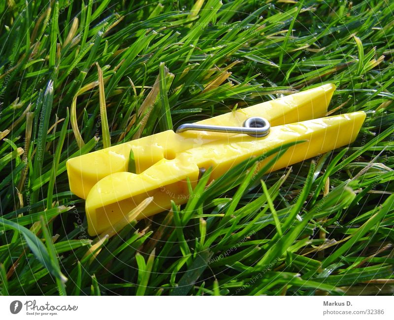 yellowPeg Wäscheklammern Gras gelb grün Makroaufnahme Nahaufnahme peg Garten Seil tauropfen