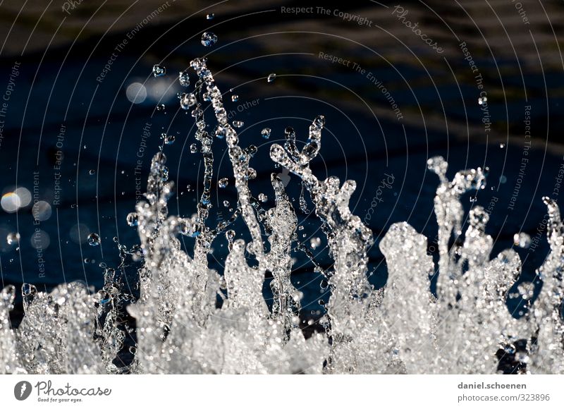 tanzendes Wasser Natur Urelemente Wassertropfen schwarz weiß Bewegung Gedeckte Farben Detailaufnahme Menschenleer Textfreiraum oben