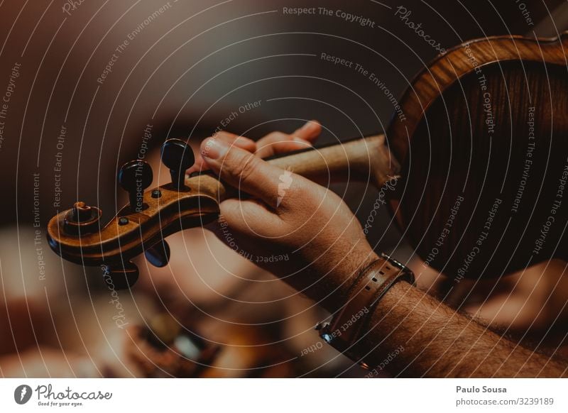 Nahaufnahme eines Geigenspielers Lifestyle maskulin Hand 1 Mensch Künstler Musik Musiker Orchester genießen hören Kommunizieren Musik hören träumen ästhetisch