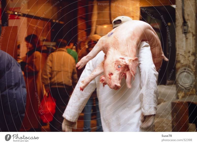 Schwein gehabt New York City Metzger Fleisch Stadtzentrum Ernährung Chinatown Tod Totes Tier Markt