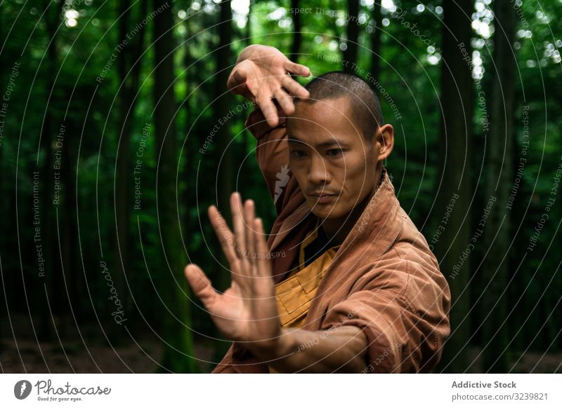 Ethnischer Mann übt Kampfkünste im Wald aus kämpferisch Training ernst taiji rückzug ethnisch Übung Uniform üben männlich kahl fokussiert konzentriert asiatisch