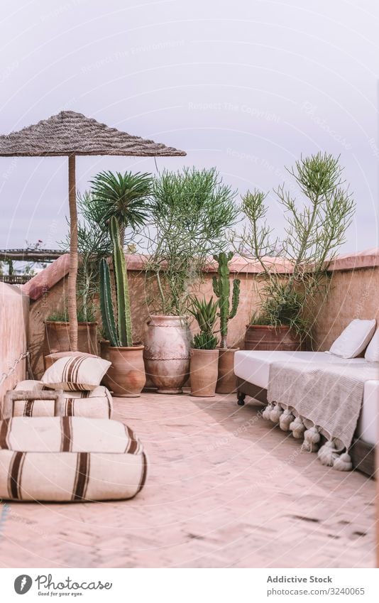 Pflanzen und Sofa auf der Terrasse tropisch Regenschirm Komfort Dekor Hotel Marrakesch Marokko Gebäude Haus exotisch Wachstum Vegetation Möbel Architektur