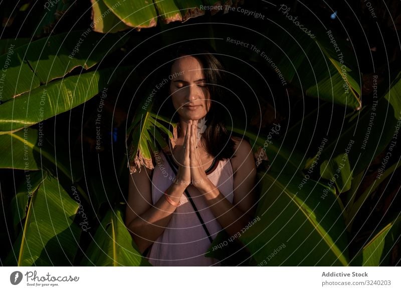Frau meditiert in der Nähe des tropischen Busches Meditation Yoga geschlossene Augen umklammerte Hände Pflanze Blatt Gesundheit geistig sich[Akk] entspannen