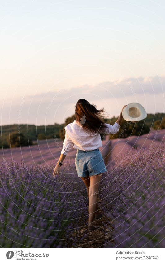 Anonyme Frau geht im Lavendelfeld spazieren Feld Spaziergang Sommer Natur Buchse Blume stylisch lässig schlank Hut tagsüber Flora Pflanze Wachstum Vegetation