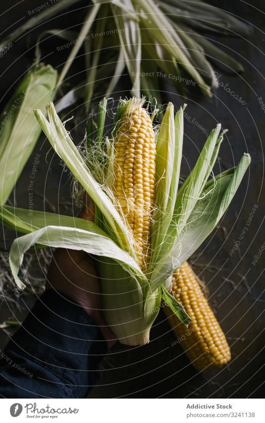 Erntehelfer schält Mais über dem Tisch Person Küche sich[Akk] schälen Blatt rustikal Ackerbau entfernen Lebensmittel heimwärts dunkel Mahlzeit kulinarisch roh