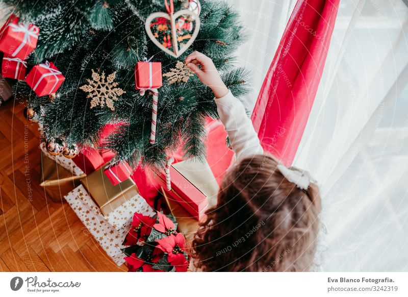 Kind Mädchen schmückt Weihnachtsbaum zu Hause Lifestyle Glück Winter Dekoration & Verzierung Weihnachten & Advent feminin Kleinkind Schwester