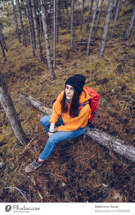 Wanderin sitzt auf umgestürztem Baum im Herbstwald Wanderer Sitzen Wald Gleichgewicht gefallen Totholz Frau Wälder entspannend gestreckte Arme entspannt