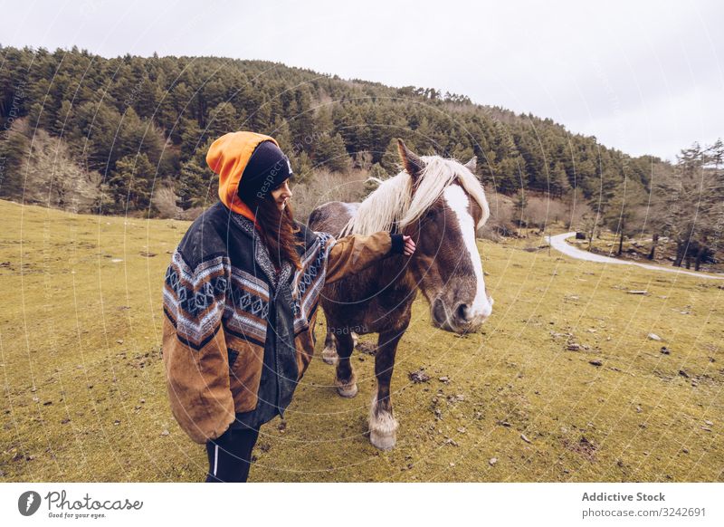 Frau streichelt Nase eines gehorsamen Pferdes im Feld Streicheln Tourist Teufel Wald liebevoll friedlich stehen ländlich jung Erwachsener Lifestyle Reiter