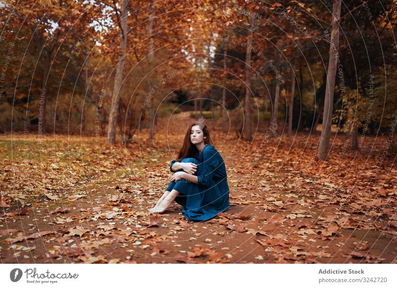 Melancholische Frau sitzt im orangefarbenen Herbstpark Park Gasse Melancholie Natur verwundbar Sitzen allein zierlich umarmende Knie sinnlich Einsamkeit fallen