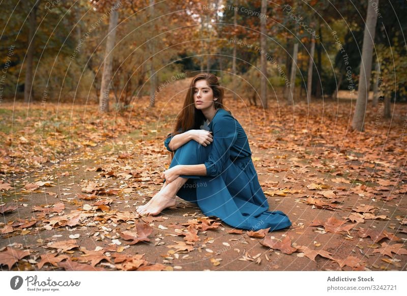 Melancholische Frau sitzt im orangefarbenen Herbstpark Park Gasse Melancholie Natur verwundbar Sitzen allein zierlich umarmende Knie sinnlich Einsamkeit fallen