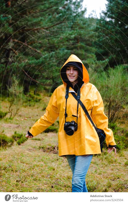 Person mit Kapuze und gelbem Regenmantel geht im Wald laufen Natur nass Park lässig Wetter wasserdicht Pinienwald botanisch Baum verborgen aktiv Urlaub Wälder