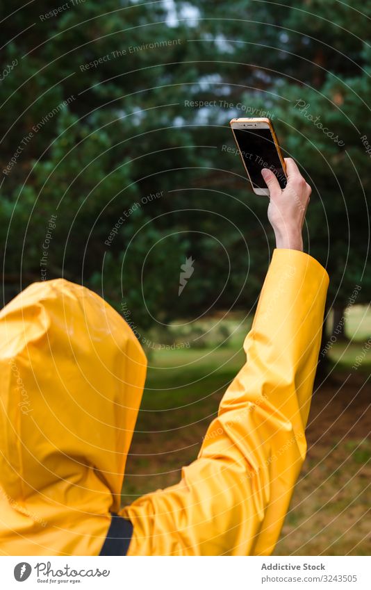 Frau in Kapuzenpulli und gelbem Regenmantel nimmt Selbstbedienung Selfie Smartphone Wald laufen Natur benutzend nass Park lässig Wetter wasserdicht Pinienwald