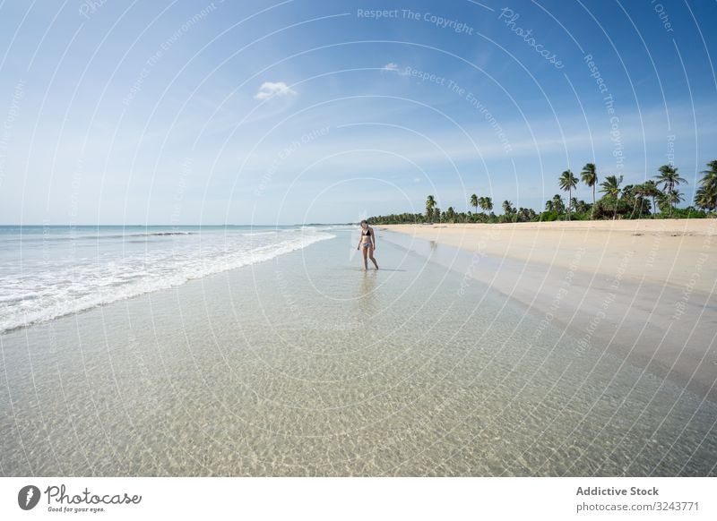 Junge Dame im Wasser am Sandstrand mit Tropenwald Strand von Mirissa Sri Lanka Wald tropisch Insel Frau Ufer Geplätscher heiter jung grün attraktiv Natur frisch