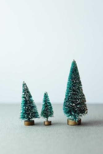 Kleine künstliche Weihnachtsbäume auf Holzständer Baum Weihnachten grün Feiertag Dekoration & Verzierung Zusammensetzung fluffig Winter Reihe Dezember festlich