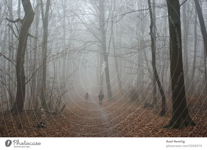 Nebelspaziergang Winter Wald Mensch Erwachsene 2 Erholung gehen Trauer Wege & Pfade Farbfoto Gedeckte Farben Außenaufnahme Tag