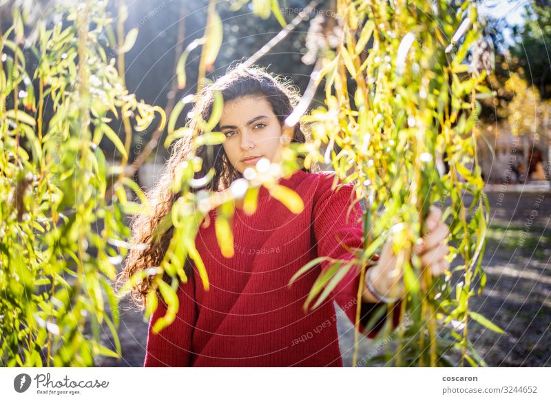 Porträt einer jungen Frau mit rotem Pullover Lifestyle Stil exotisch Glück schön Garten Schulkind Mensch feminin Junge Frau Jugendliche Erwachsene 1 13-18 Jahre