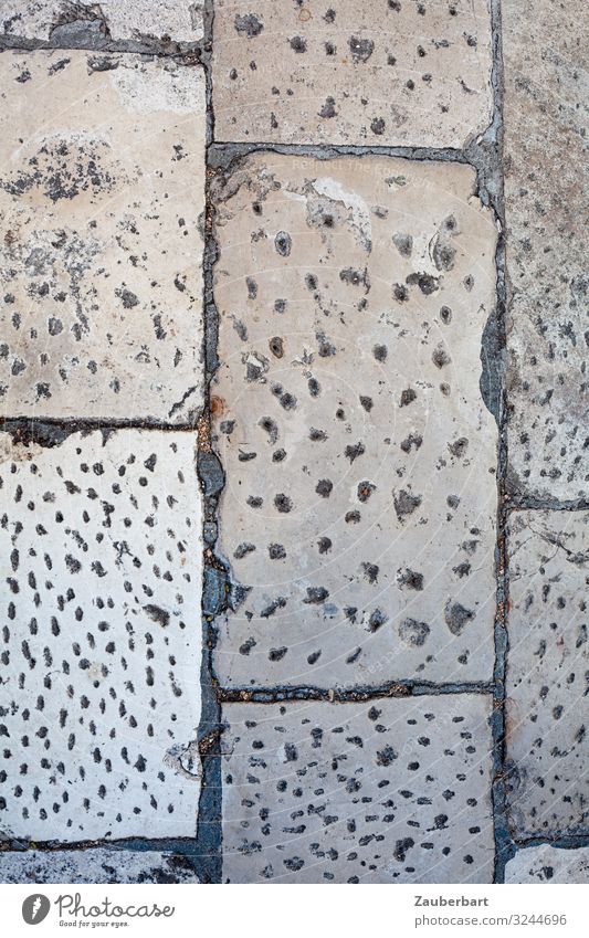 Pflastersteine in Zadar, Kroatien Straße Bürgersteig Pflasterweg Stein gehen Blick eckig historisch grau diszipliniert Ausdauer Ordnungsliebe planen Präzision