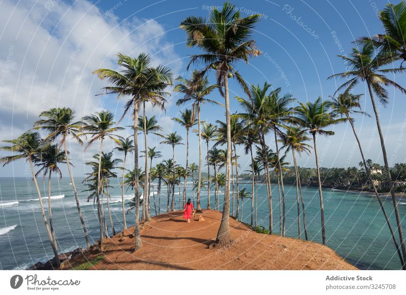 Ruhiger weiblicher Reisender zwischen Palmen an der Meeresküste Frau reisen Meeresufer Tourismus Sommer Urlaub Handfläche Baum Strand Seeküste Erholung Natur