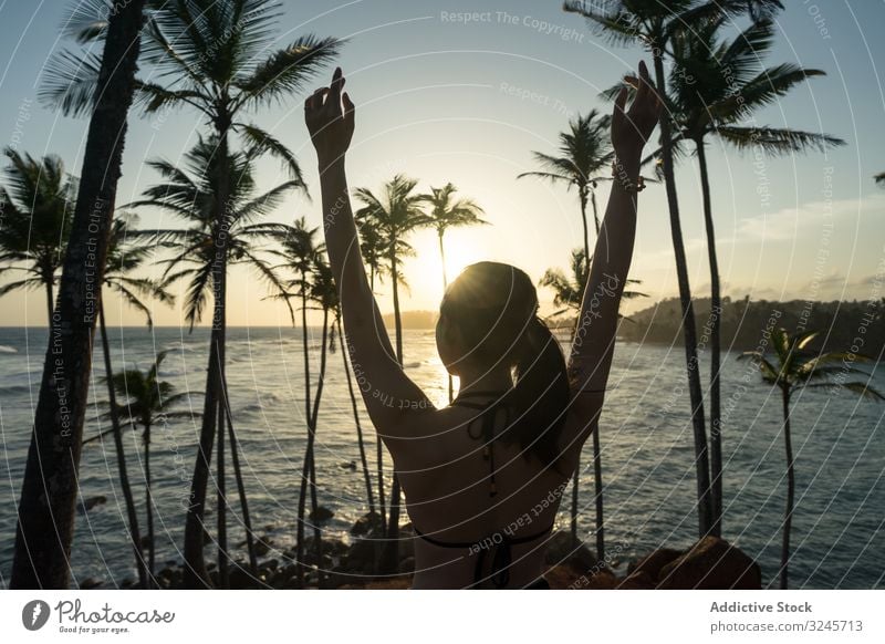 Ruhiger weiblicher Reisender zwischen Palmen an der Meeresküste Frau reisen Meeresufer Tourismus Sommer Urlaub Handfläche Baum Strand Seeküste Erholung Natur