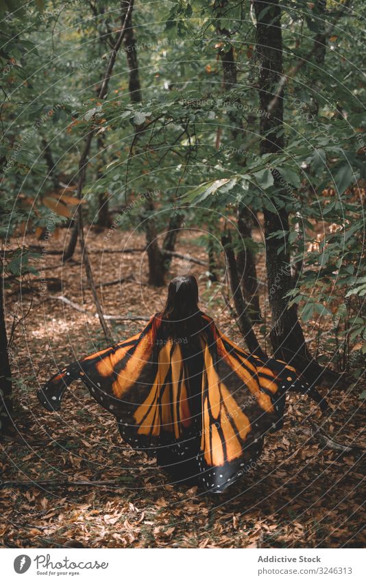 Frau in Schmetterlingstracht im Wald Tanzen Tracht Flügel Kap Baum Natur Hügel Angebot Eleganz zierlich Wanze Insekt Nachahmung üppig (Wuchs) Laubwerk Berghang