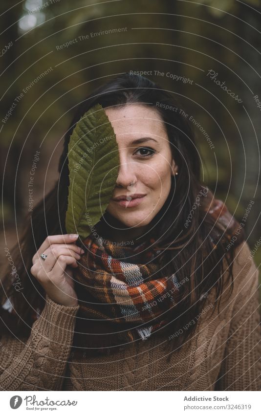 Frau bedeckt Auge mit Blatt Wald deckende Augen stylisch Natur Schal Pullover lässig ruhen sich[Akk] entspannen Saison Pflanze Scheitel warm brünett Lifestyle