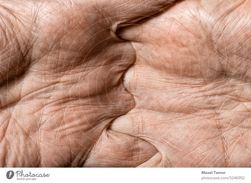 Detail Männerhände schön Körper Haut Mensch Mann Erwachsene Hand Finger alt dunkel natürlich stark Kraft Farbe Aktion Hintergrund Pflege Kaukasier Entwurf