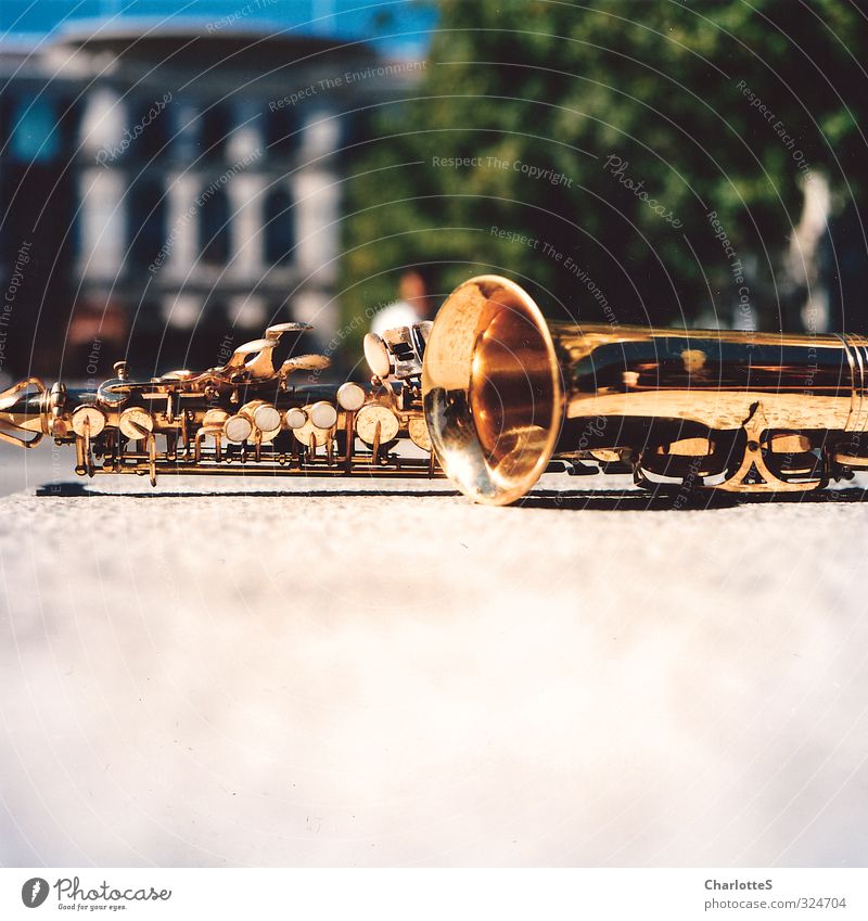 Saxophone Metall Gold Stadt ablegen Pause Klappe Schall Schatten Kupfer Mauer Baumkrone Mittelformat Rolleiflex analog Farbfilm Spanien Sonnenstrahlen