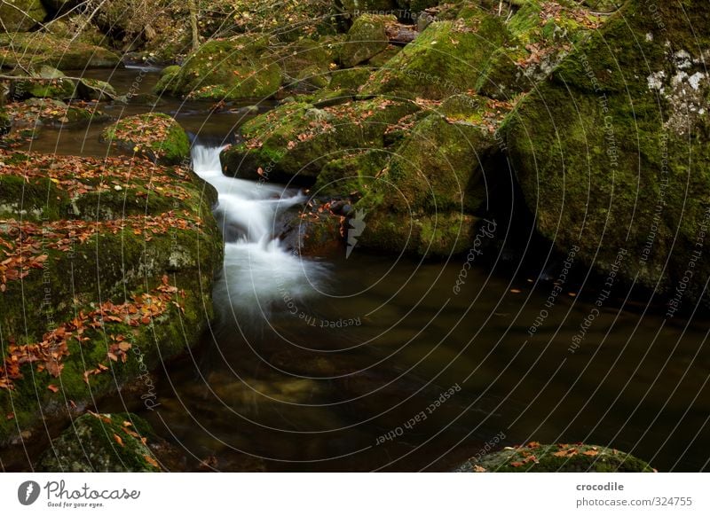 # 748 Bach Bayerischer Wald Wasserfall Langzeitbelichtung Herbst Blatt dunkel Moos Farbfoto ruhig friedlich