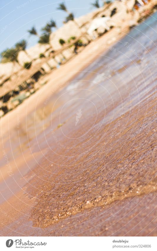 beach Ferien & Urlaub & Reisen Tourismus Sommerurlaub Strand Meer Erholung Freizeit & Hobby Klima Sand palmen klimawandel meerespiegel Farbfoto Außenaufnahme