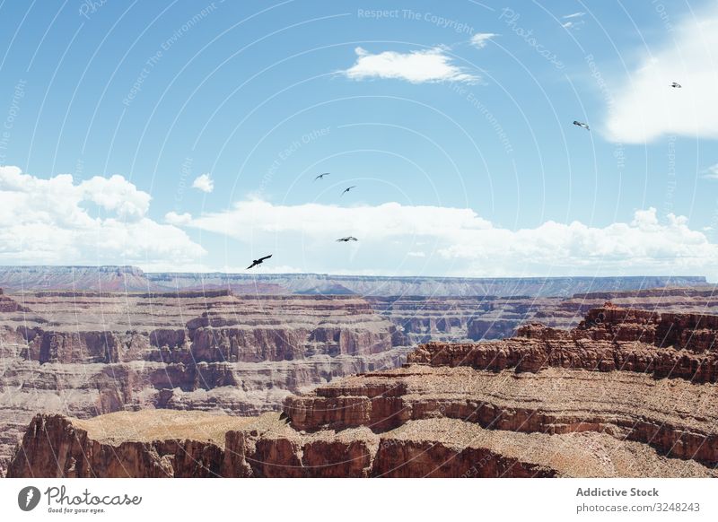 Trockener Boden auf der felsigen Spitze des Grand Canyon Natur Berge u. Gebirge Landschaft Wanderung reisen Sommer Frau Gesundheit Tourist hoch Abenteuer
