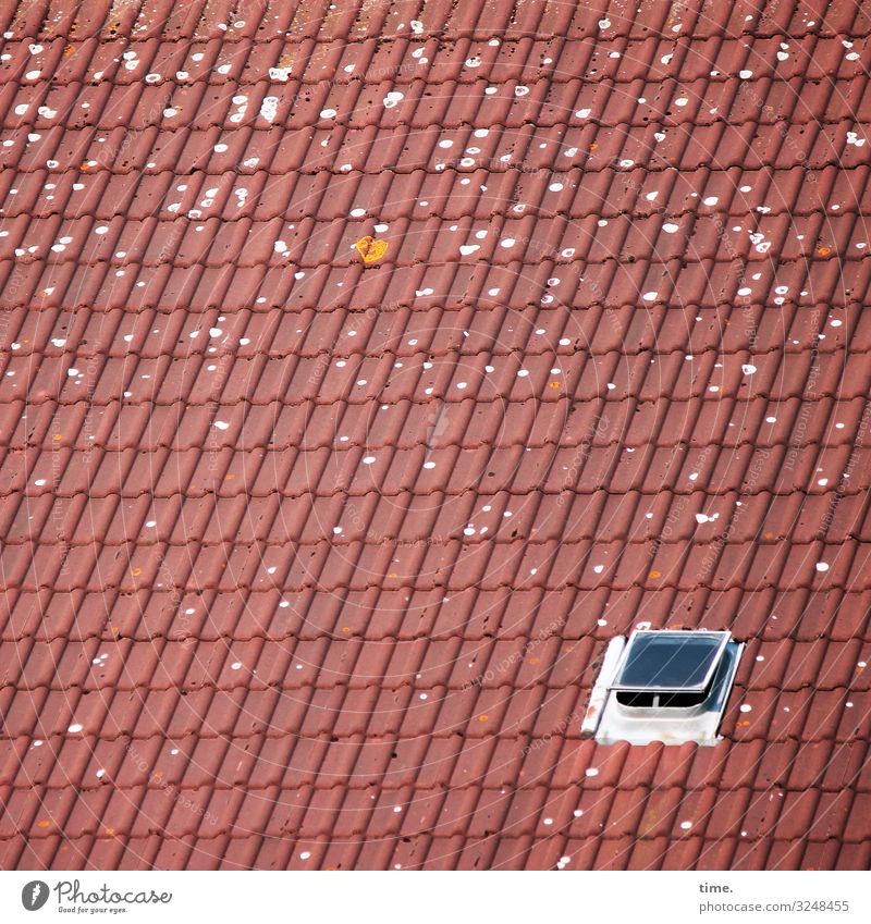 Luftloch Dach Dachfenster Dachluke Luke flecken dachziegel dachpfannen sonnig luftig frischluft lüften zink ton glas rot grau allein farbfleck