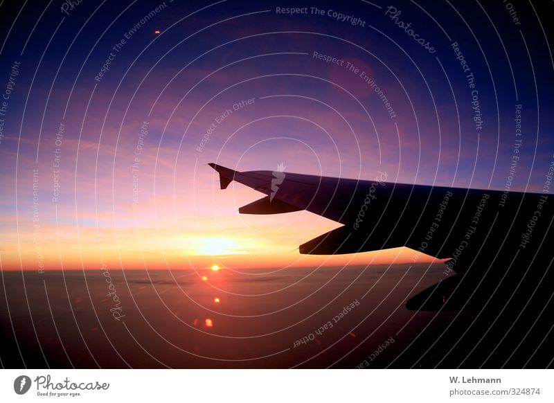 Jahre her... Abend Menschenleer Experiment Schwarzweißfoto Außenaufnahme Passagierflugzeug Flugzeug Verkehrswege Schönes Wetter Verkehrsmittel Luftverkehr