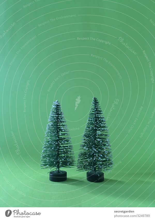 Zweiter Advent. Modellbau Winter Weihnachten & Advent Umwelt Baum Grünpflanze Tanne Zeichen niedlich Spitze stachelig grün Zufriedenheit Kitsch minimalistisch