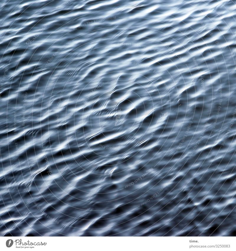 Bewegungsmelder Umwelt Natur Wasser Schönes Wetter Ostsee Linie kalt maritim nass blau Wachsamkeit beweglich Leben Ausdauer Neugier Überraschung gefährlich