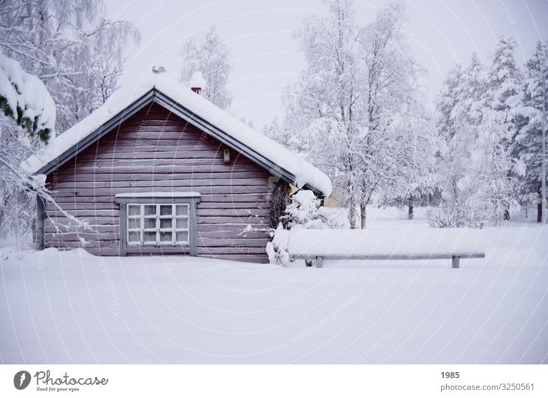 Verschneite Hütte Winter Schnee Winterurlaub Haus Natur Eis Frost Schweden Lappland Dorf Menschenleer Holz Glas frieren genießen Häusliches Leben