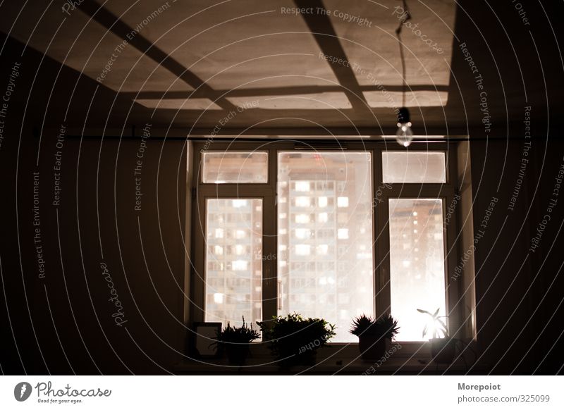 Licht Kleinstadt Stadt Haus Gebäude Glas braun schwarz weiß Fenster Beleuchtung Beleuchtungselement Farbfoto Innenaufnahme Menschenleer Textfreiraum Mitte Nacht