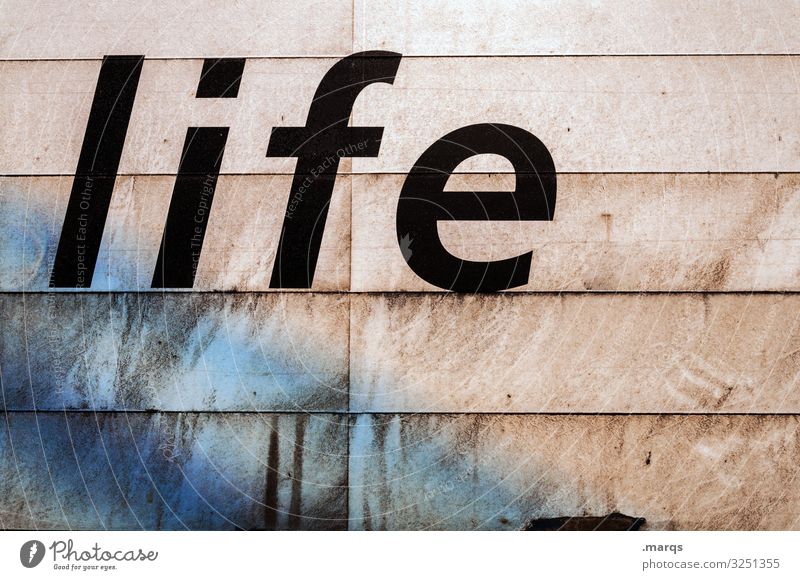 life Schriftzeichen Leben Lebenslauf Typographie Text Wort Buchstaben Lifestyle Realität Verschmutzung Kommunikation lebensweg Lebensfreude Zukunft