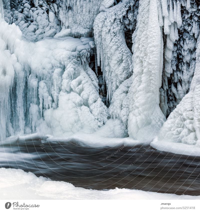 Kälter Natur Urelemente Wasser Winter Eis Frost Fluss Wasserfall Triberg Eiszapfen Ewiges Eis kalt komplex Umwelt Farbfoto Außenaufnahme Strukturen & Formen