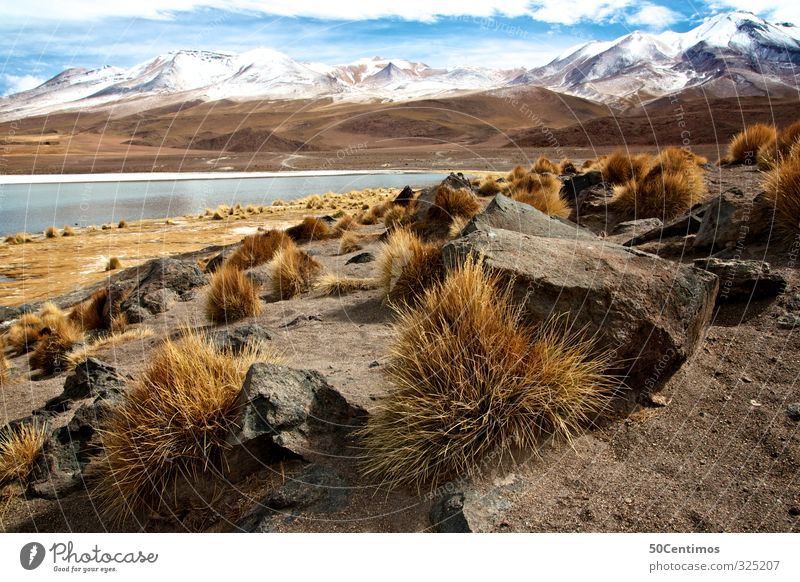 Mountain lake in the Andes in Bolivia with snow and try Plants Natur Landschaft Sand Wasser Wolken Winter Klima Schönes Wetter Schnee Pflanze Berge u. Gebirge