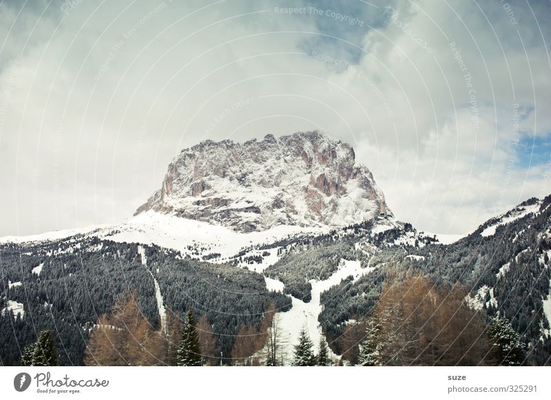Frontal Südtirol Freizeit & Hobby Ferien & Urlaub & Reisen Reisefotografie Berge u. Gebirge Umwelt Natur Landschaft Luft Himmel Klima Wald Alpen Gipfel Schnee