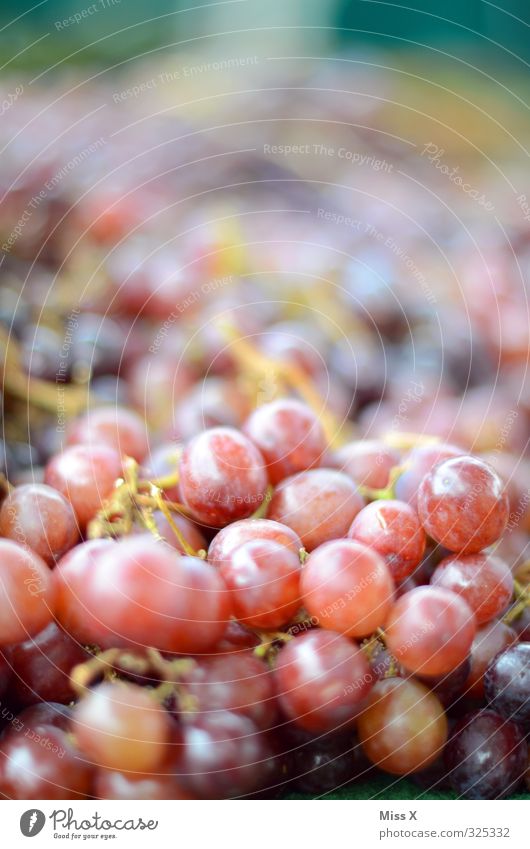 Weintrauben Lebensmittel Frucht Ernährung Bioprodukte Vegetarische Ernährung frisch Gesundheit lecker süß rot rote Trauben Wochenmarkt Ernte Obstladen