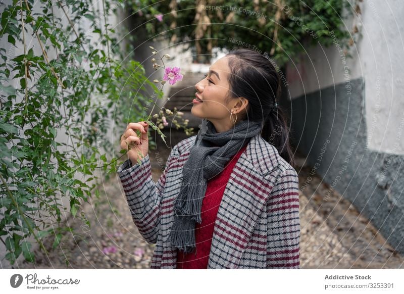 Junge Frau in legerer Kleidung berührt grüne Pflanzen und lächelt auf geschaukelter Fahrbahn Tourist reisen Spaziergang Großstadt Straße Weg erkunden Lächeln
