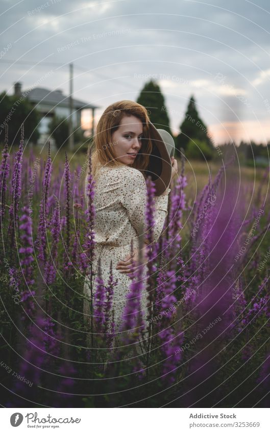 Romantische Frauen im Salvia-Feld Salbei Wiese genießen Salbeiblume Blüte sinnlich romantisch charmant friedlich Angebot Glück zierlich Harmonie sorgenfrei