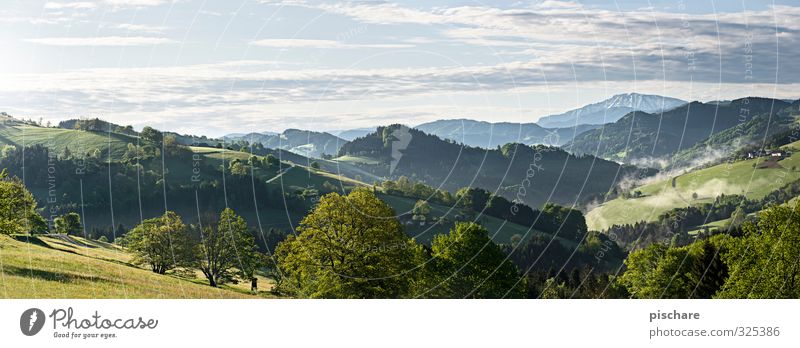 Ausguck Landschaft Schönes Wetter Baum Wiese Hügel Berge u. Gebirge natürlich schön Österreich Mostviertel Farbfoto Außenaufnahme Morgen Starke Tiefenschärfe