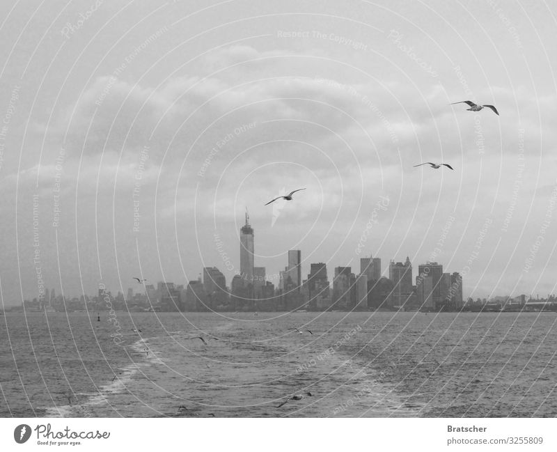 New York, New York. Wasser Wolken Klima Klimawandel Stadt Hafenstadt Hochhaus Sehenswürdigkeit Wahrzeichen World Trade Center Manhattan Verkehr Schifffahrt